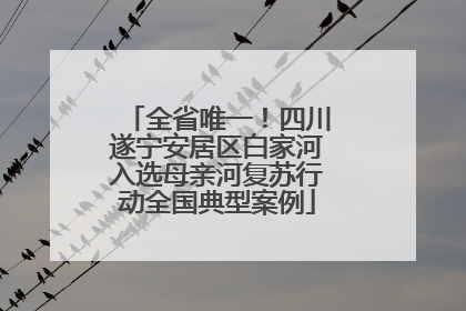 全省唯一！四川遂宁安居区白家河入选母亲河复苏行动全国典型案例