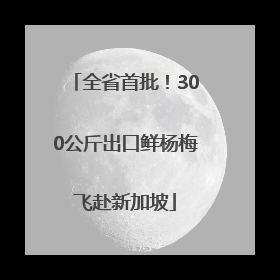 全省首批！300公斤出口鲜杨梅飞赴新加坡