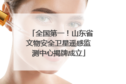 全国第一！山东省文物安全卫星遥感监测中心揭牌成立