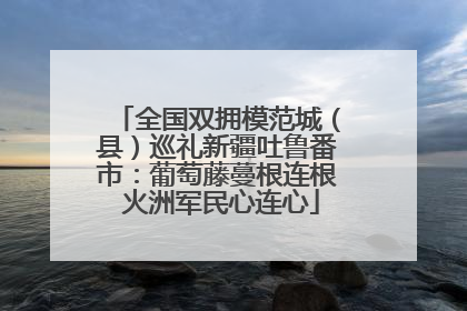 全国双拥模范城（县）巡礼新疆吐鲁番市：葡萄藤蔓根连根 火洲军民心连心