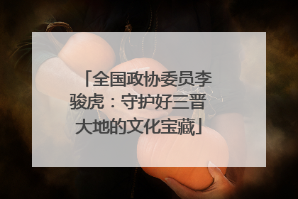全国政协委员李骏虎：守护好三晋大地的文化宝藏