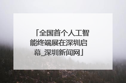 全国首个人工智能终端展在深圳启幕_深圳新闻网