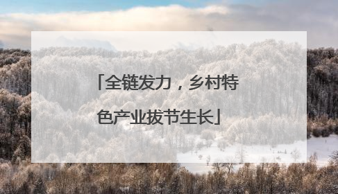 全链发力，乡村特色产业拔节生长