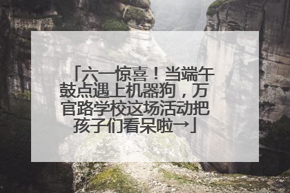 六一惊喜！当端午鼓点遇上机器狗，万官路学校这场活动把孩子们看呆啦→