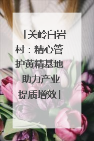 关岭白岩村：精心管护黄精基地 助力产业提质增效