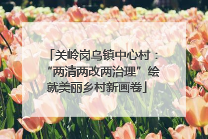 关岭岗乌镇中心村：“两清两改两治理”绘就美丽乡村新画卷