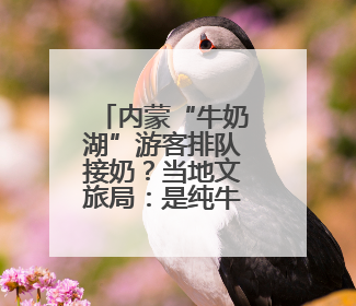 内蒙“牛奶湖”游客排队接奶？当地文旅局：是纯牛奶不是湖水，可放心喝