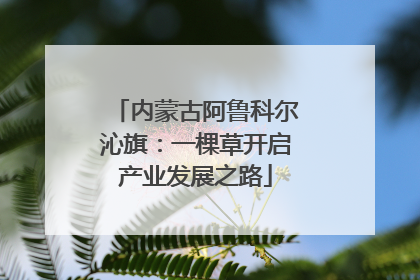 内蒙古阿鲁科尔沁旗：一棵草开启产业发展之路