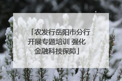 农发行岳阳市分行开展专题培训 强化金融科技保障