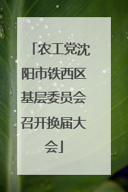 农工党沈阳市铁西区基层委员会召开换届大会