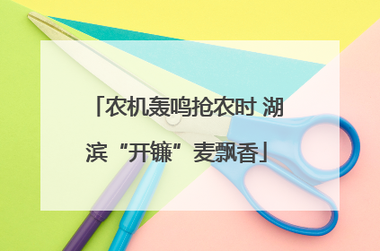 农机轰鸣抢农时 湖滨“开镰”麦飘香