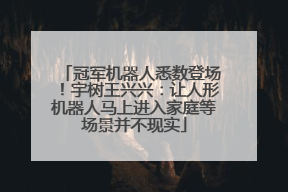 冠军机器人悉数登场！宇树王兴兴：让人形机器人马上进入家庭等场景并不现实