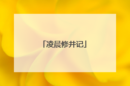 凌晨修井记