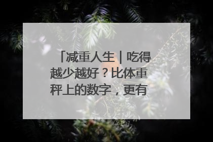 减重人生｜吃得越少越好？比体重秤上的数字，更有意义的是什么？