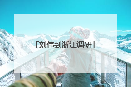 刘伟到浙江调研