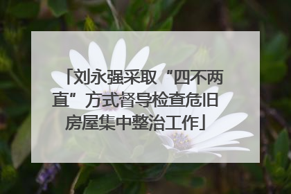 刘永强采取“四不两直”方式督导检查危旧房屋集中整治工作