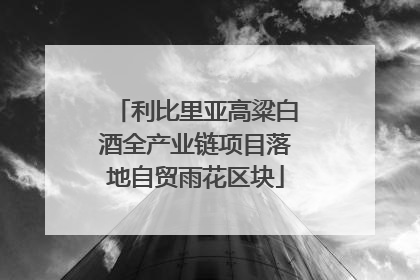 利比里亚高粱白酒全产业链项目落地自贸雨花区块