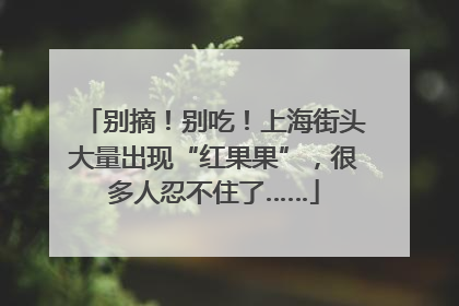 别摘！别吃！上海街头大量出现“红果果”，很多人忍不住了……