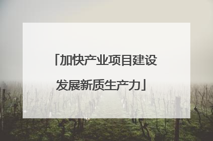 加快产业项目建设 发展新质生产力