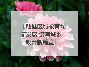 助推区域教育均衡发展 谱写城乡教育新篇章