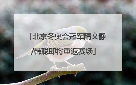 北京冬奥会冠军隋文静/韩聪即将重返赛场