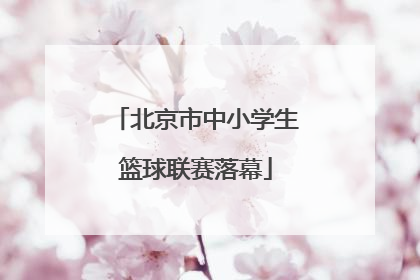 北京市中小学生篮球联赛落幕