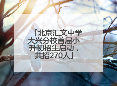 北京汇文中学大兴分校首届小升初招生启动，共招270人