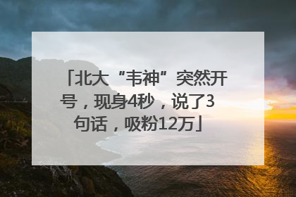 北大“韦神”突然开号，现身4秒，说了3句话，吸粉12万