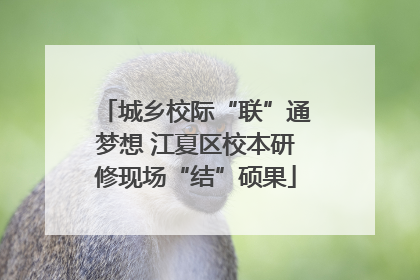 城乡校际“联”通梦想 江夏区校本研修现场“结”硕果