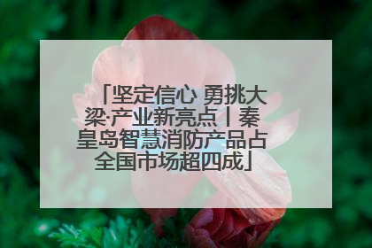 坚定信心 勇挑大梁·产业新亮点丨秦皇岛智慧消防产品占全国市场超四成