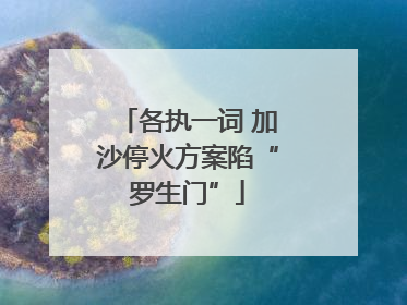 各执一词 加沙停火方案陷“罗生门”