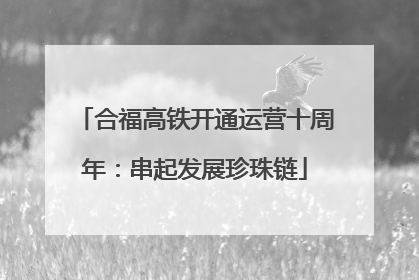 合福高铁开通运营十周年：串起发展珍珠链