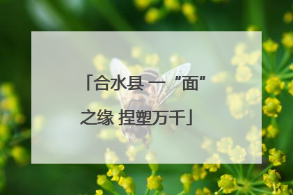 合水县 一“面”之缘 捏塑万千