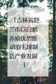 吉林省舒兰市以白鹅养殖优势推动羽毛球制造产业发展