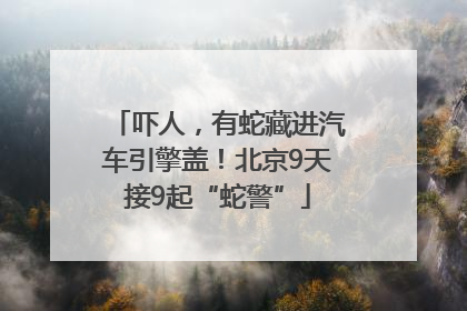 吓人，有蛇藏进汽车引擎盖！北京9天接9起“蛇警”