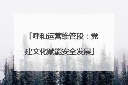 呼和运营维管段：党建文化赋能安全发展