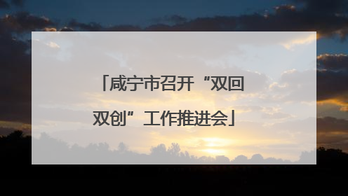 咸宁市召开“双回双创”工作推进会