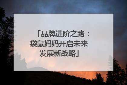 品牌进阶之路：袋鼠妈妈开启未来发展新战略