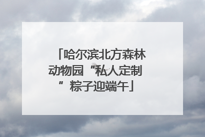 哈尔滨北方森林动物园“私人定制”粽子迎端午