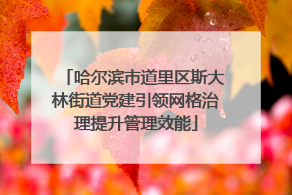 哈尔滨市道里区斯大林街道党建引领网格治理提升管理效能