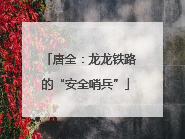 唐全：龙龙铁路的“安全哨兵”