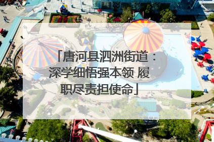 唐河县泗洲街道：深学细悟强本领 履职尽责担使命