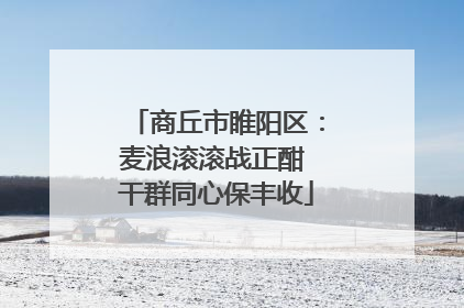 商丘市睢阳区：麦浪滚滚战正酣 干群同心保丰收
