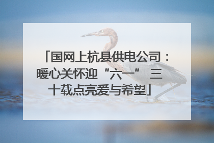 国网上杭县供电公司：暖心关怀迎“六一” 三十载点亮爱与希望
