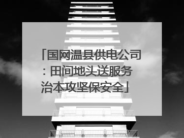 国网温县供电公司：田间地头送服务 治本攻坚保安全