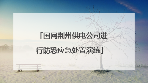 国网荆州供电公司进行防恐应急处置演练