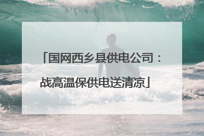 国网西乡县供电公司：战高温保供电送清凉