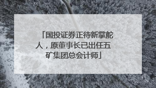 国投证券正待新掌舵人，原董事长已出任五矿集团总会计师