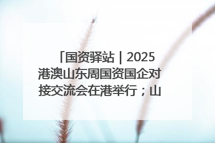 国资驿站｜2025港澳山东周国资国企对接交流会在港举行；山东黄金成功在境外发行3亿美元绿色债券