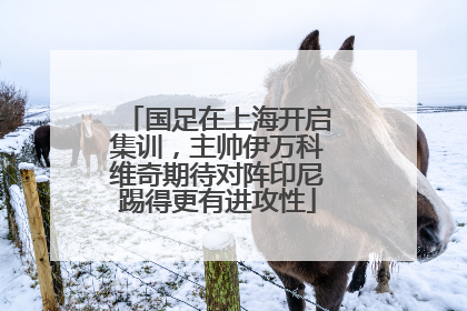 国足在上海开启集训，主帅伊万科维奇期待对阵印尼踢得更有进攻性